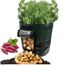 Pomme De Terre Cultiver Conteneur Sac Bricolage Planteur Pe Tissu Plantation Legumes Jardinage Epaissir Pot De Legumes Type Small A Achat Vente Jardiniere Bac A Fleur Pomme De Terre