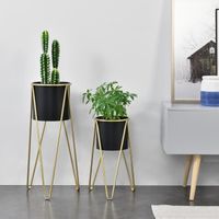 Set de 2 Supports de Plante Hedera - EN.CASA - Noir Doré - Métal - Contemporain - Design