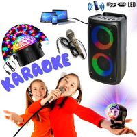 Enceinte Karaoke Enfant sur batterie USB Bluetooth Radio PARTY LEO-250 - Micro - Jeu de Lumière Disco - Boum - Fête Anniversaire