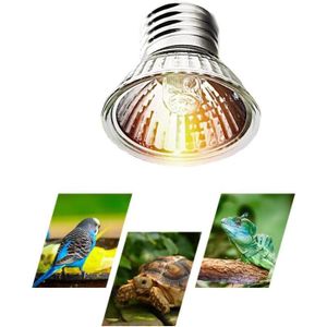 CHAUFFAGE Lampes Chauffantes Pour Terrariums - Lampe Chaleur