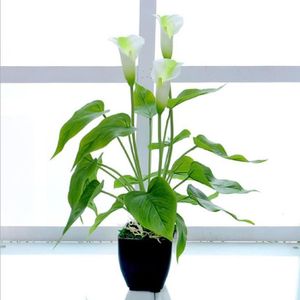 FLEUR ARTIFICIELLE HURRISE plante artificielle en pot Fleur artificie