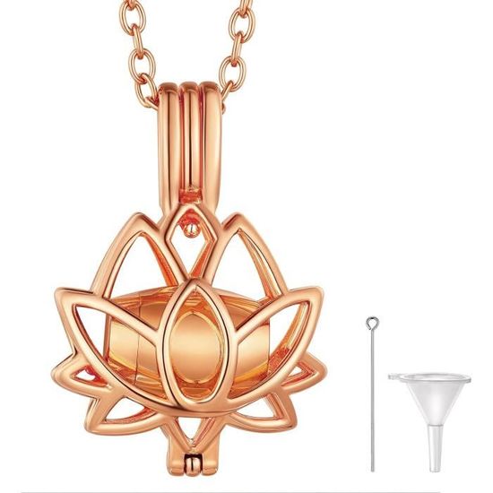 Richsteel Collier Urne Pour Cendres Animaux Homme Femme,Pendentif Coeur Urne Funéraire Plaqué Or/Noir/Argent Acier Inoxydable Avec Chaine,Bijoux Crémation Waterproof + Kit De Remplissage, Acier