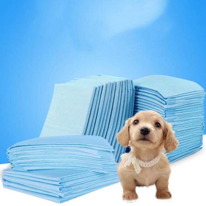 promworld Tapis Éducateur Chiot,Tapis d'entraînement pour l'hygiène des Animaux-S,Apprentissage Propreté Tapis éducateurs pour A282