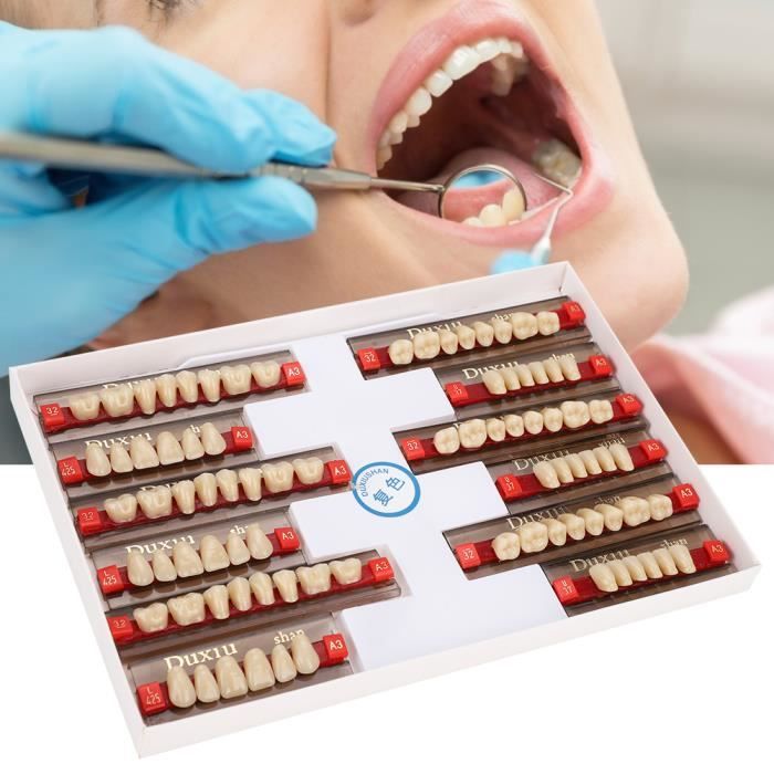 Tbest Dent en résine synthétique Prothèse dentaire de dents de matériel dentaire de fausses dents de résine