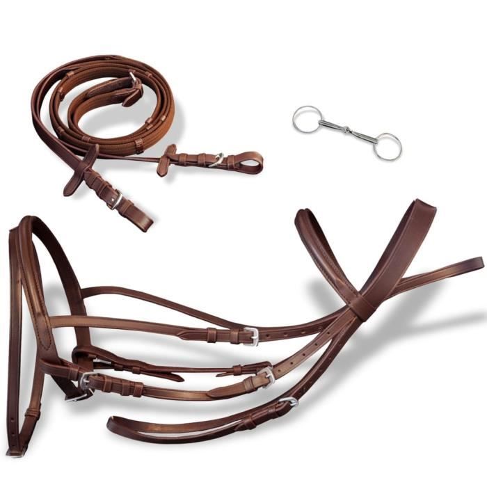 Breaking Hackamore Bride pour chevaux
