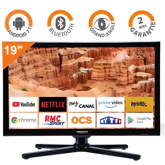 SMART TV CAMPING CAR CAMION 12V 24V 19" 48cm ANDROID WIFI