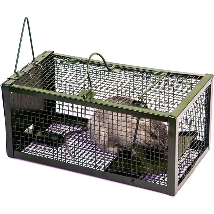 AJWPiege a Souris Vivante Efficace Piege a Rat Sûr pour Jardins Intérieur et Exterieur Convient