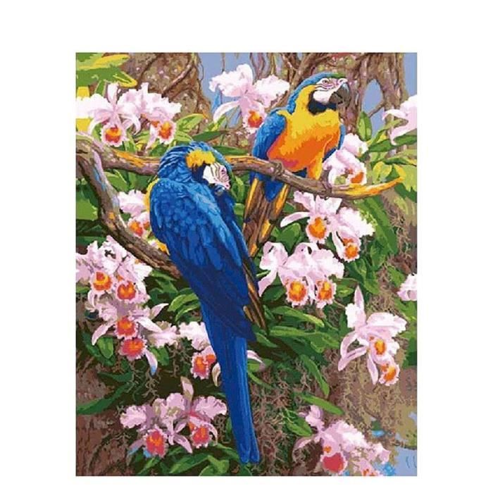 Peinture Par Numero Adulte Oiseaux, Décoration Intérieure Maison Avec Cadre  40X50Cm[u1238] - Cdiscount Beaux-Arts et Loisirs créatifs