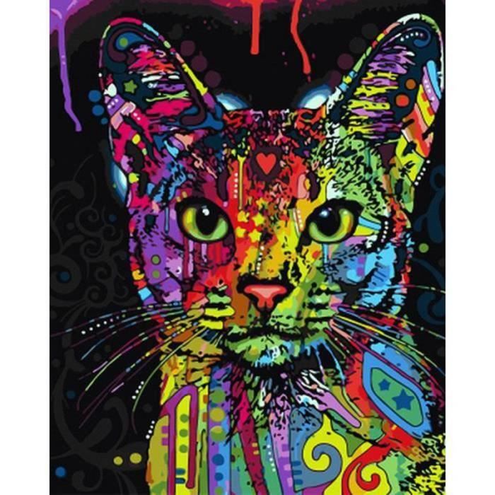 sans cadre Peinture à lhuile numérique sur toile Motif chat coloré 40 x 50 cm 