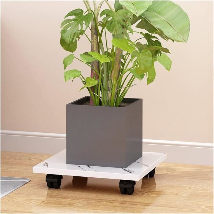 Support Pour Plantes Ondis24 Avec Roulettes - Charge Jusqu'à 150 Kg - Diamètre 30 Cm, Stable Et Pivotant