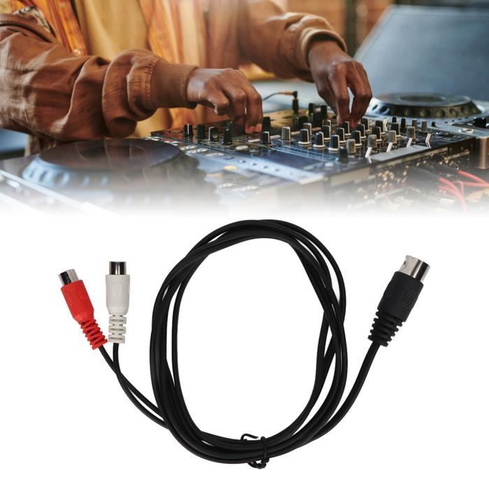 Câble Audio DIN 5 Broches Mâle Vers 2 RCA Mâle - Occasion