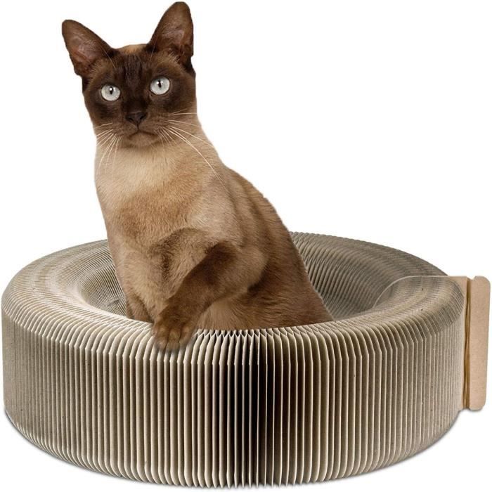 Arbre Griffoir à Chat Chaton Premium Carton Ondulé Fonctionnel — free download
