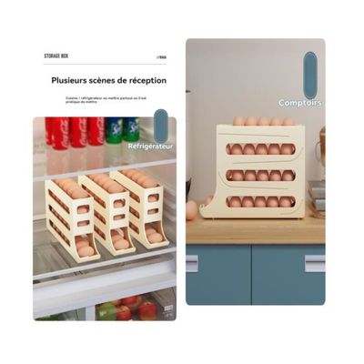 Distributeur Oeuf, 2 Niveaux Distributeur D'œufs Pour Réfrigérateur