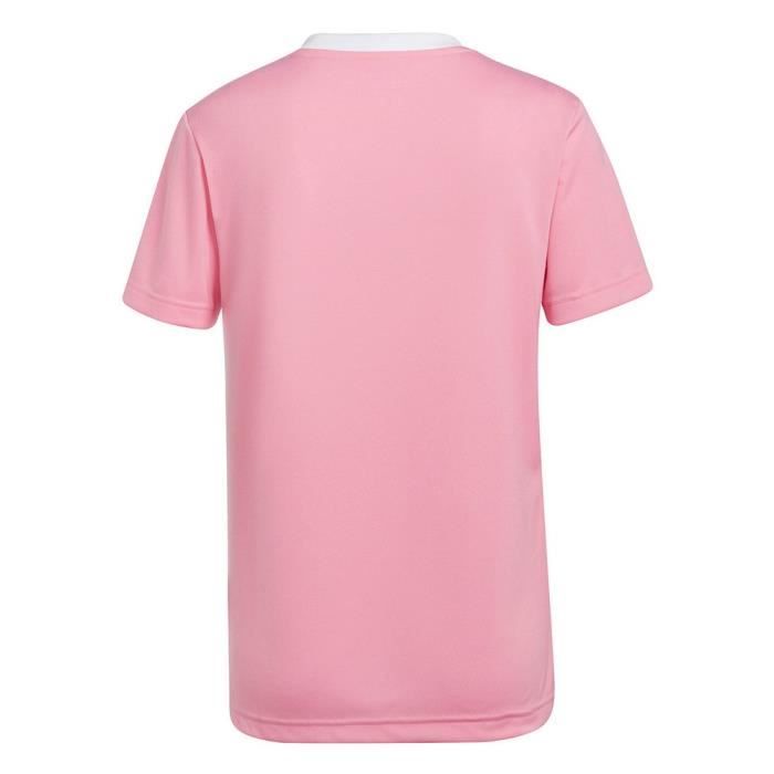T shirt ADIDAS Entrada 22 Rose Homme Adulte Cdiscount Sport