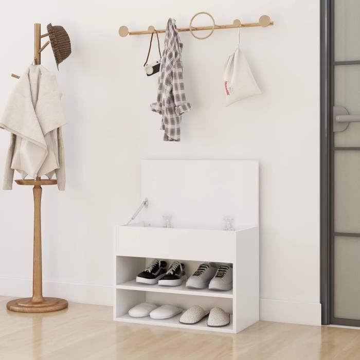 Banc à Chaussures Avec Rangement - 60 X 30 X 50 Cm - Couleur Blanc Et Doré - Portes Et étagère Amovible - Capacité 100 Kg - Pour Entrée, Couloir, Salon - 5