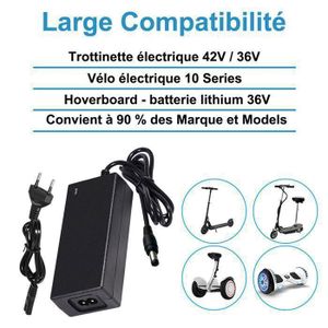 Chargeur 36V Pour Vélo électrique Nakamura E-Summi - Power Smart C060L1001E.001