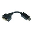 Tripp Lite 6in Displayport to DVI Adapter Video Converter DP-M to DVI-I-F 6" Carte d'écran DisplayPort (M) pour DVI-I (F) 15 cm…-0