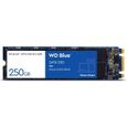 WD Blue™ - Disque SSD Interne - 3D Nand - 250 Go - M.2 SATA (WDS250G2B0B)-0