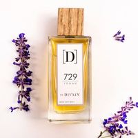 DIVAIN-729 Parfum Pour Femme 100 ml