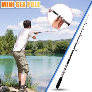 Canne Pêche Achat Vente Canne Pêche pas cher Cdiscount Canne à pêche au coup Carbone ARCA Cyclone 800(8m), NEUVE!!!