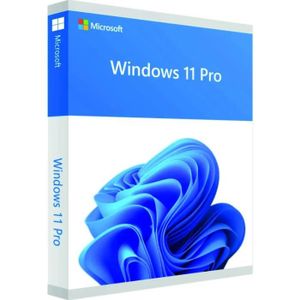SYSTÈME D'EXPLOITATION Windows 11 Professionnel - Licence Clé Activation 