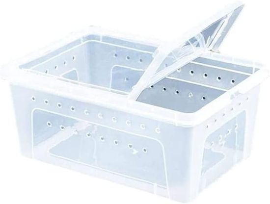 Boîte D'élevage Transparente, Rectangle en Plastique Boîte D'insectes ...