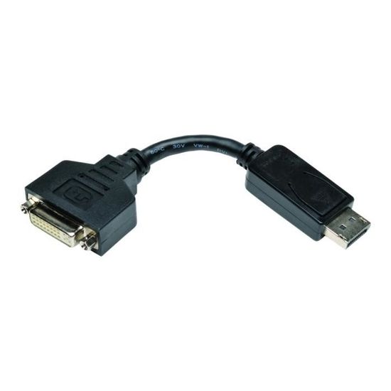 Tripp Lite 6in Displayport to DVI Adapter Video Converter DP-M to DVI-I-F 6" Carte d'écran DisplayPort (M) pour DVI-I (F) 15 cm…