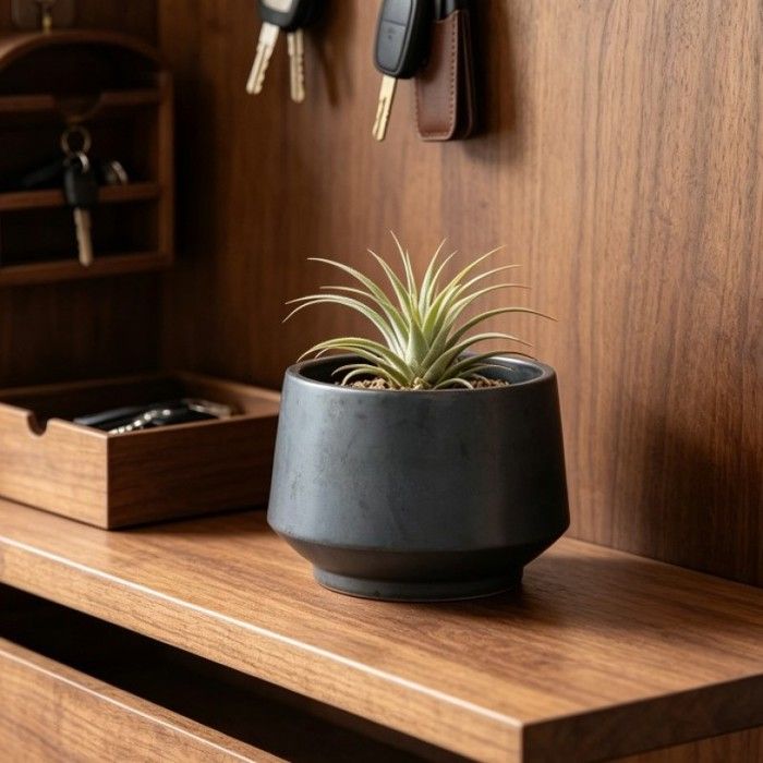 Pot de fleurs individuel en céramique fait main (Ø 22 cm) glaçure noir mat respirant résistant au gel avec trous de drainage.