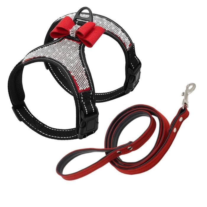 Harnais chien Tahiti nylon rouge Taille : S DOOGY CLASSIC - Gamm vert