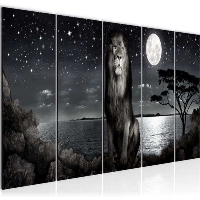Peinture sur verre - Verre acrylique - Animaux sauvages - Lion - Herbe - Nature