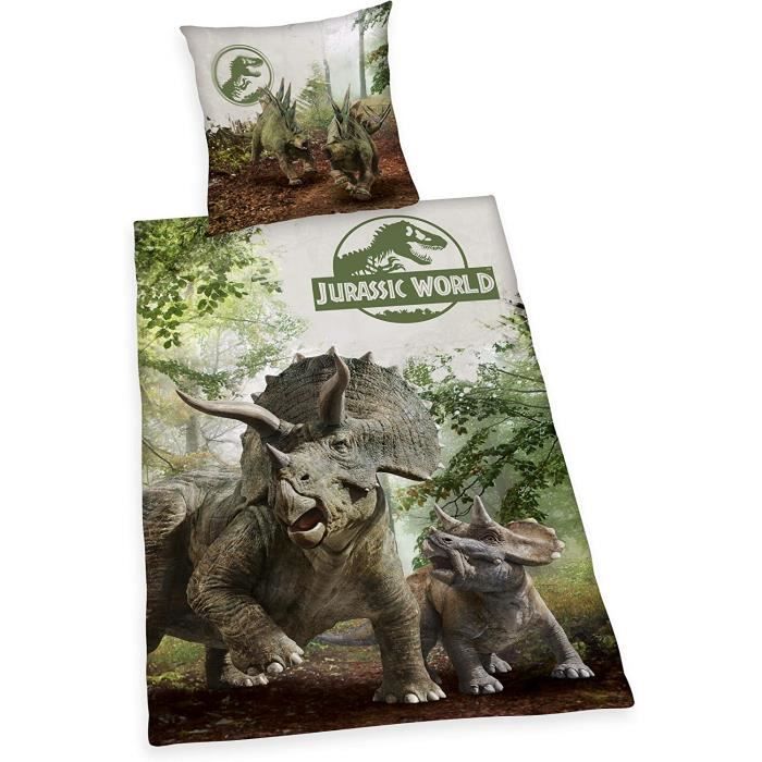 Parure Lit Enfant Jurassic World - Housse De Couette Dinosaure Enfant - Parure Jurassic Park 4k