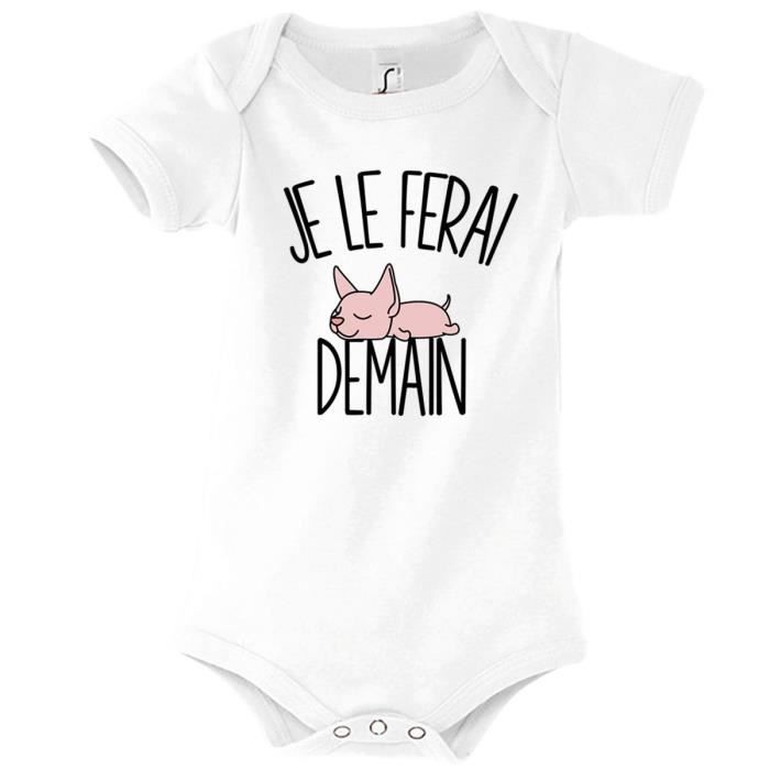 Chat Sphynx Cdiscount