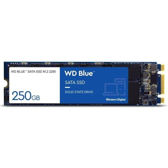  Disque SSD WD Blue™ - Disque SSD Interne - 3D Nand - 250 Go - M.2 SATA (WDS250G2B0B) pas cher