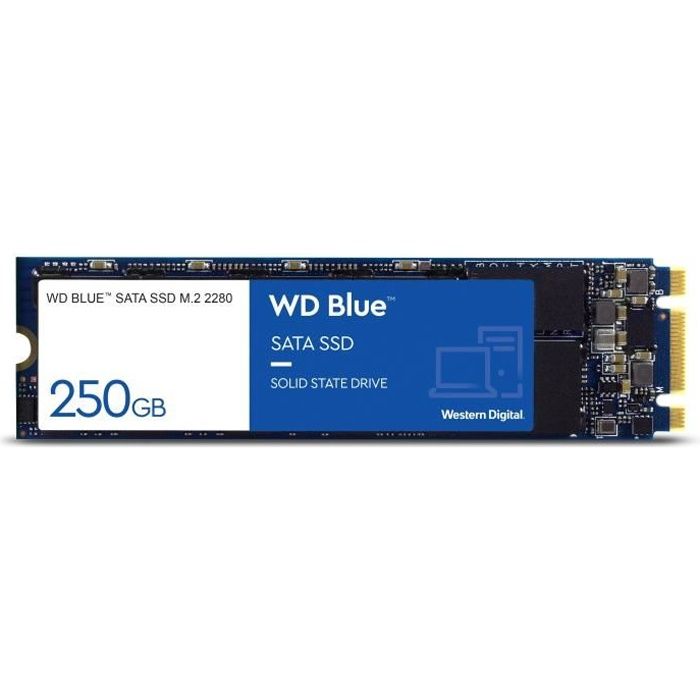 WD Blue™ - Disque SSD Interne - 3D Nand - 250 Go - M.2 SATA (WDS250G2B0B) -  Cdiscount Informatique