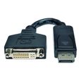 Tripp Lite 6in Displayport to DVI Adapter Video Converter DP-M to DVI-I-F 6" Carte d'écran DisplayPort (M) pour DVI-I (F) 15 cm…-1