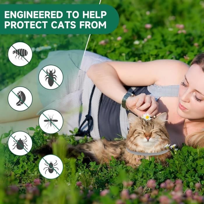 Collier Anti Puces Pour Chien, 12 Ois De Protection Efficace, Collier