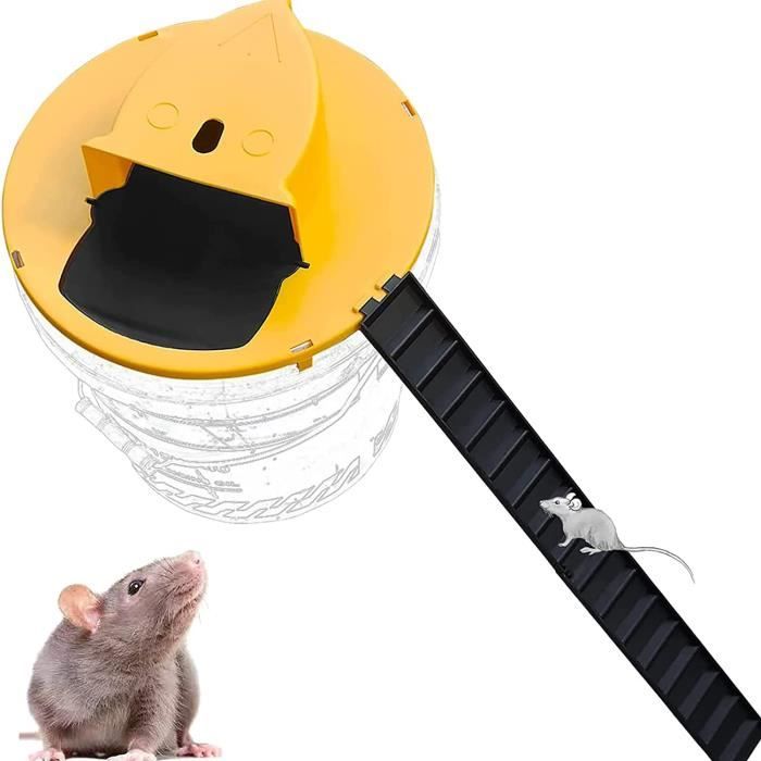 27 x14 x12 cm Piège à souris cage de souris professionnel pour attraper les  rats --AIM - Cdiscount Au quotidien