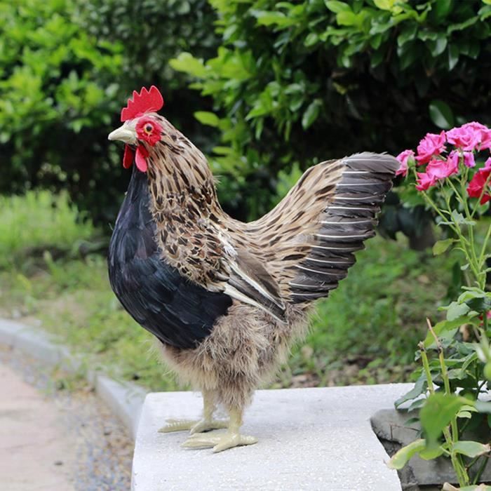 Statue de poule réaliste belle Art figurines d'animaux poussin Sculpture  Statue de jardin pour Patio fée jardin extérieur L - Cdiscount Maison