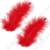 TD® 100 Plumes rouge 8 cm - 10 cm Accessoires plumes de Rouge pour décoration et évènement...