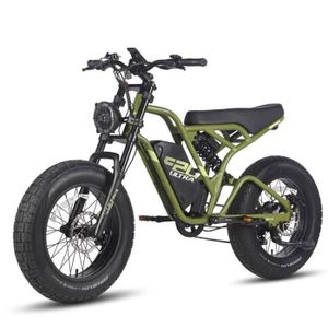 VÉLO ASSISTANCE ÉLEC Vélo électrique urbain Fafrees F20 Ultra 750W-batterie 25Ah-20*5.0 gros pneus-7 vitesses-Oliver Vert
