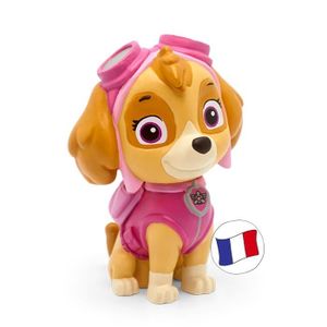 Smart-Planet Ensemble de plage Paw Patrol - Matelas gonflable - Ballon de  natation - Pat' Patrouille - Gonflable - Piscine - Matelas de natation :  : Jeux et Jouets