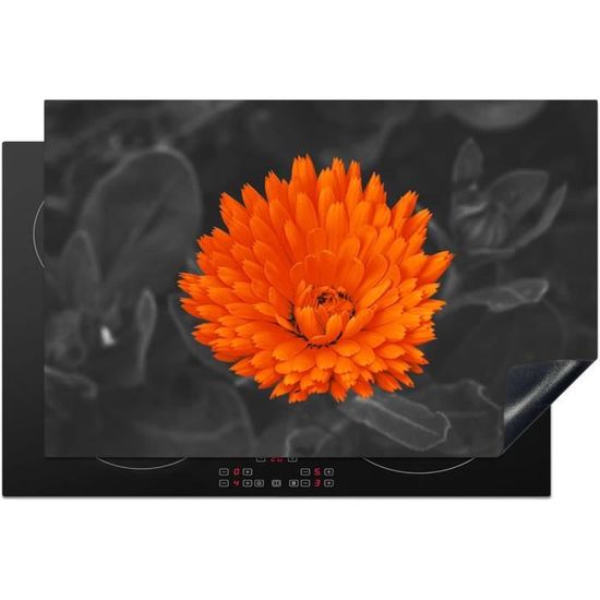 Protège-plaque à Induction - Plaque Protection Vitrocéramique Induction - Vinyl - Plage - Mer