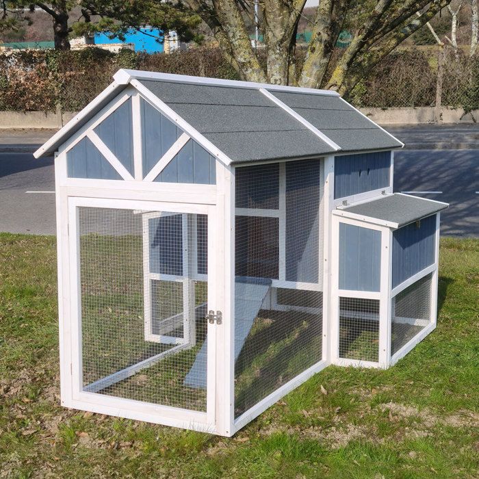 Comparer les prix de Poulailler Deluxe bleu toit shingle gris jusquà 12 poules Gris