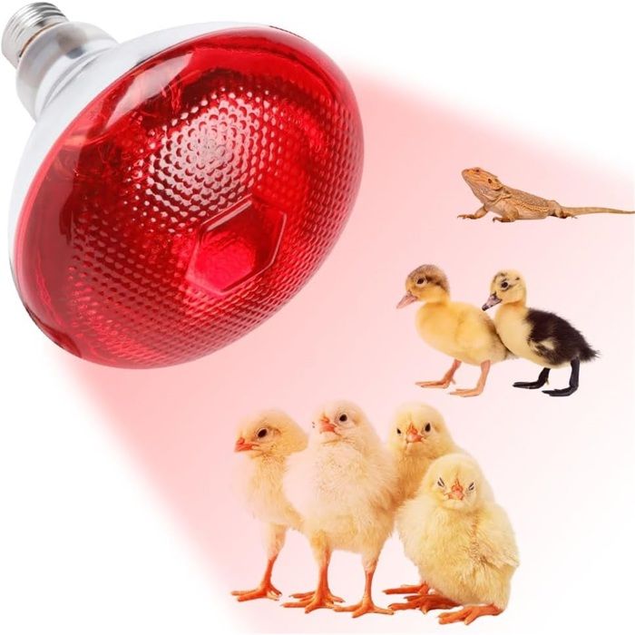 Lampe Chauffante Reptile 250W Ampoules Chauffantes pour Reptiles E27 Ampoule Infrarouge Chauffante pour Chiot Poussin Tortue Lampe Chauffante Reptile 250W Ampoules Chauffantes pour Reptiles E27 Ampoule Infrarouge Chauffante pour Chiot Poussin Tortue