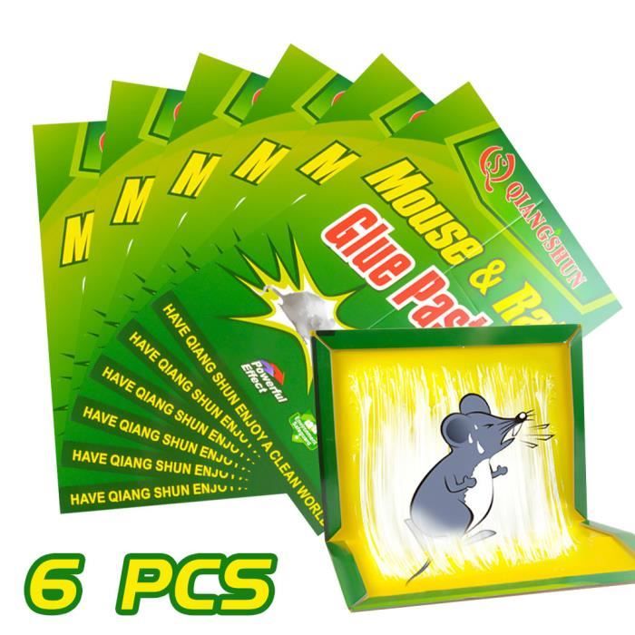 25 Pièges à Souris Adhésifs Grands Formats - Forte Adhérence Pour Intérieur/extérieur