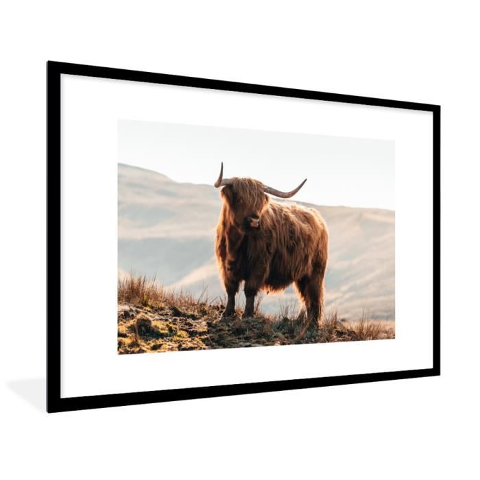 Cadre Photo - MuchoWow - Paysage - 120x80 cm - Highlander écossais Animaux  Rural Paysage Vache Nature - Multicolore - Cdiscount Maison