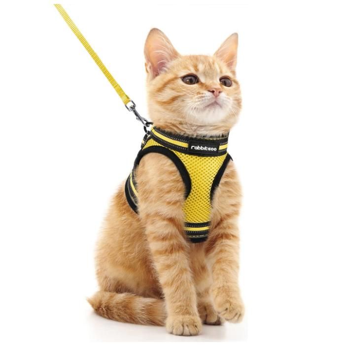 Meilleurs prix pour Rabbitgoo Harnais Chat Harnais pour chaton/petit chien Harnais Respirant et Bande Réfléchissante réglables -Taille S -Jaune Clair
