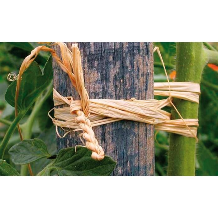 Bobine De Raphia Végétal Vert Jade 50g - Neuf Graine Créative