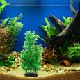 Plante en plante d'aquarium - vivarium - terrarium - decoration vegetale - substrat - racine - bois decoration de l'habitat-2