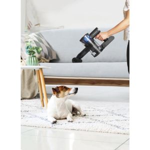 Aspirateur balai Schneider Cdiscount